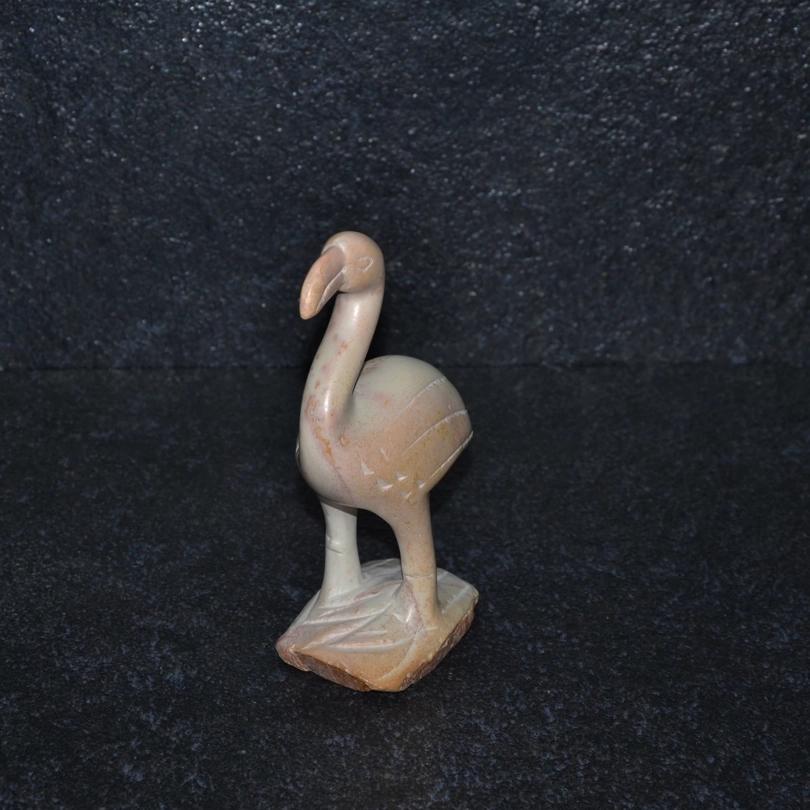 Uccello flamingo
