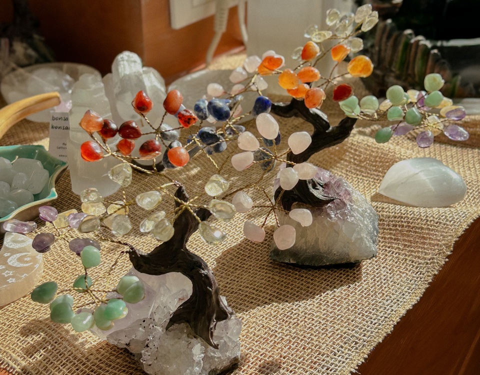Bonsai