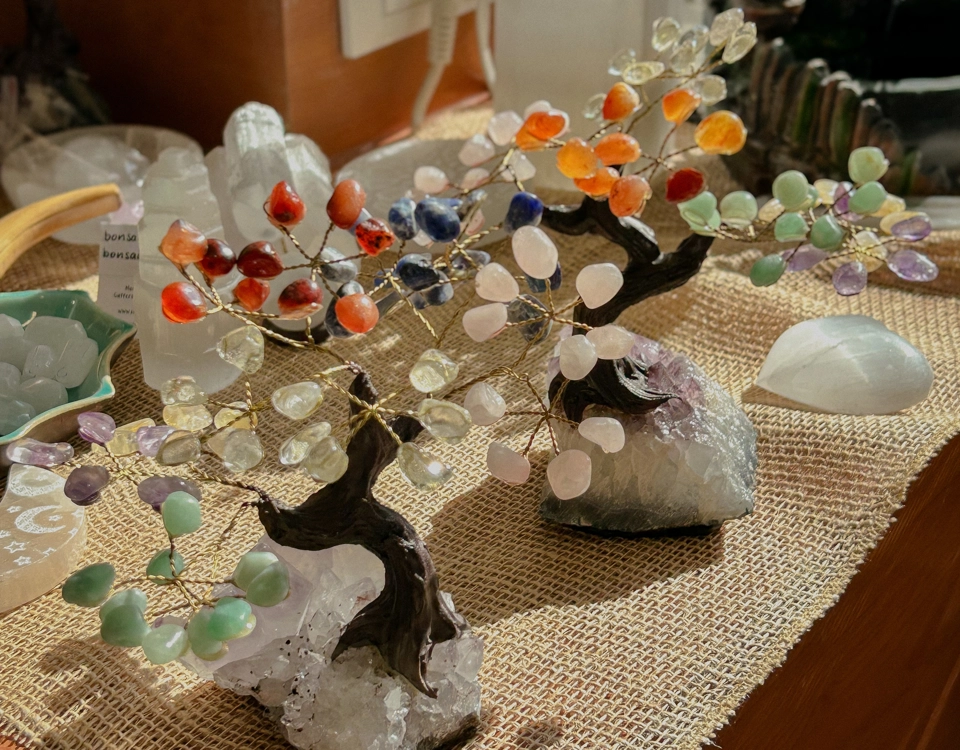 Bonsai